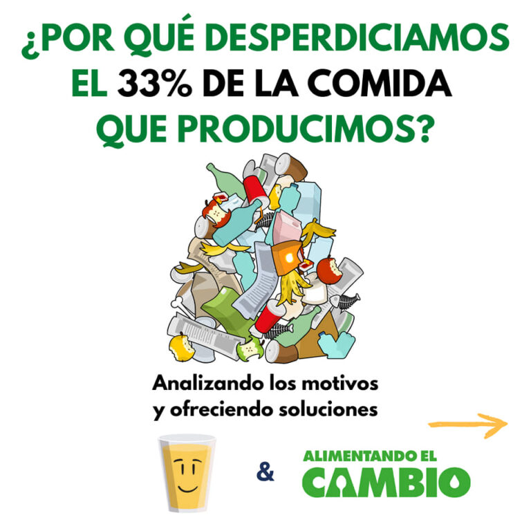 ¿Por Qué Desperdiciamos El 33% De La Comida Que Producimos? – Mi Dieta ...